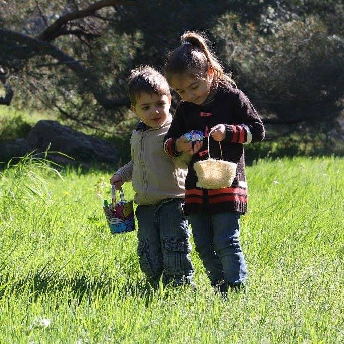 avis utilisateur le grenier ludique